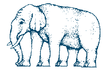 Confusing elephant